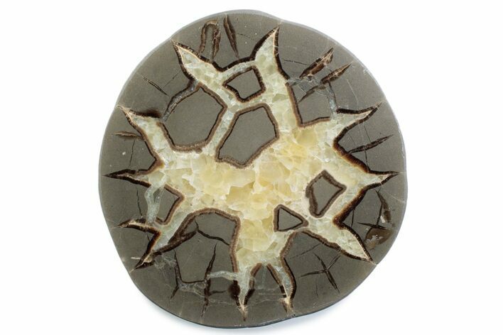 Polished Septarian Nodule Half - Utah #378433